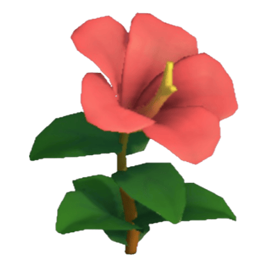 Hibiscus