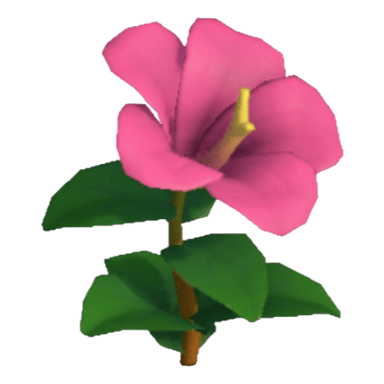 Hibiscus