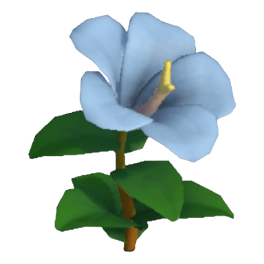 Hibiscus