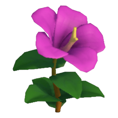 Hibiscus