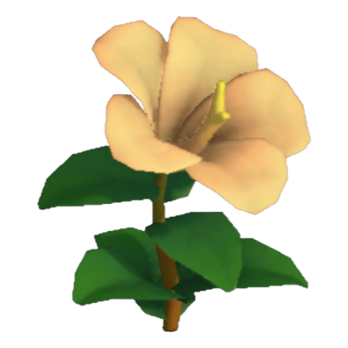Hibiscus