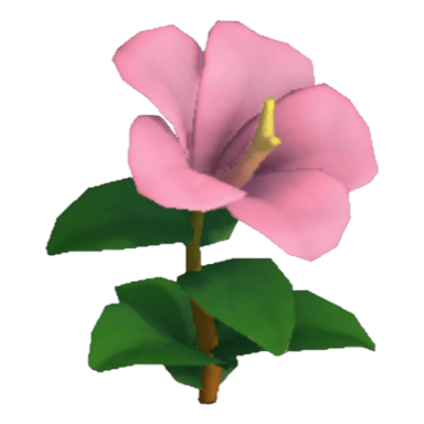 Hibiscus