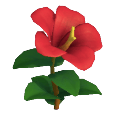 Hibiscus