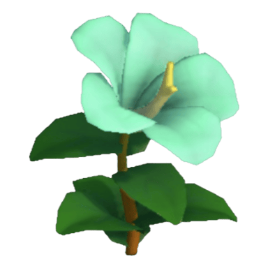 Hibiscus