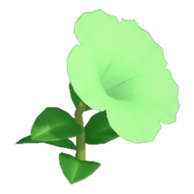 Petunia