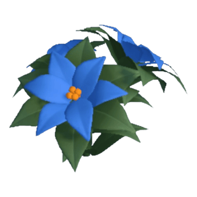 Poinsettia