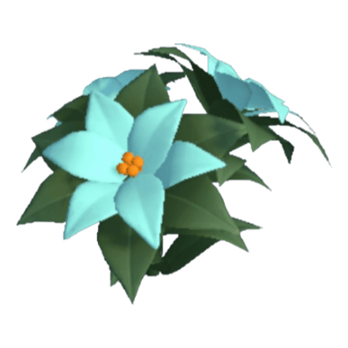 Poinsettia