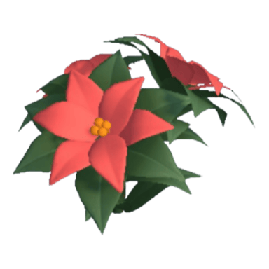 Poinsettia