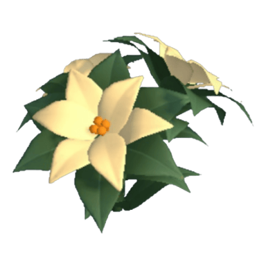 Poinsettia