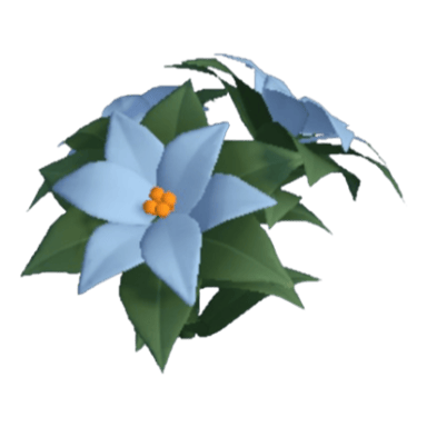 Poinsettia