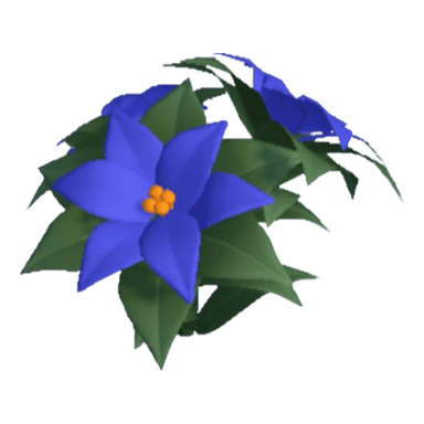 Poinsettia