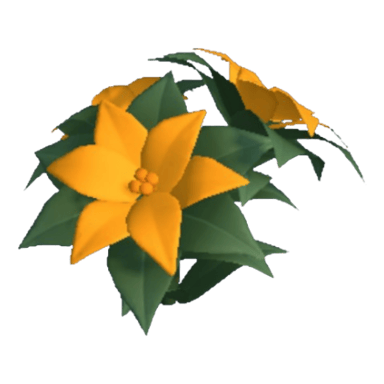 Poinsettia