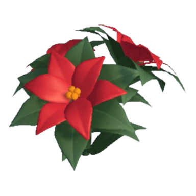 Poinsettia