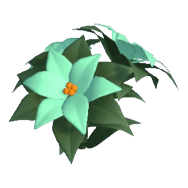 Poinsettia