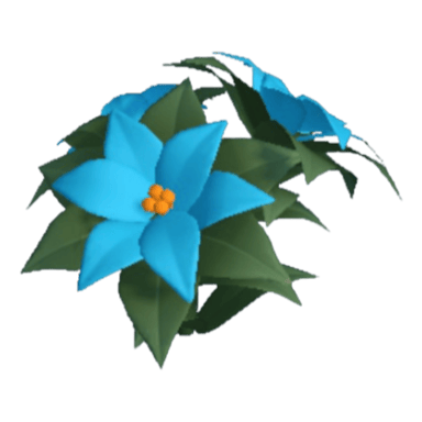 Poinsettia
