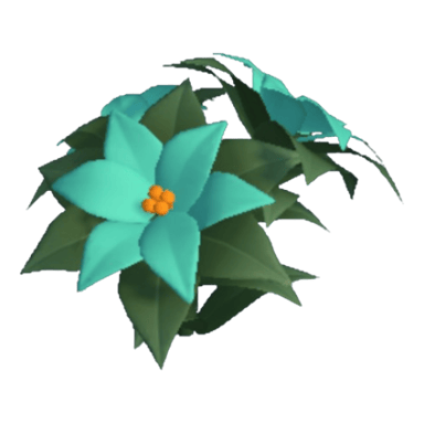 Poinsettia