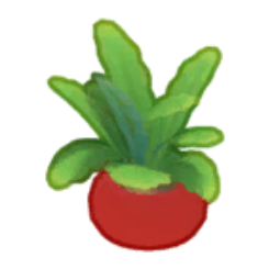 Big Challenges Potted Plant