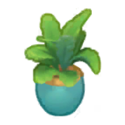 Coastal Decorative Plant