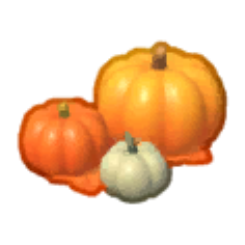 Days Of Plenty Pumpkins
