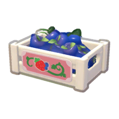 Farmhouse Blueberry Crate