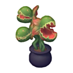 Monster Plant