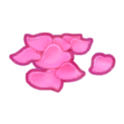 Rose Petals