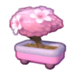 Sakura Bonsai