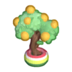 Sunshine Fruit Tree