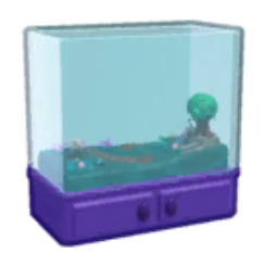 Swamp Terrarium