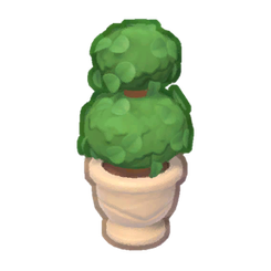 Tea Garden Potted Double Round Topiary
