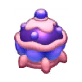 Box Clam