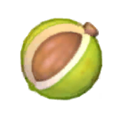 Candlenut