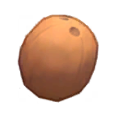 Coconut