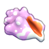 Decorative Cogimyun Conch