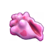 Decorative My Melody Conch