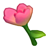 Friendship Blossom