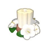 Hibiscus Candle
