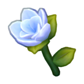 Lotus Blossom