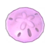 Sand Dollar