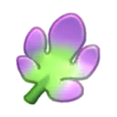 Seaweed