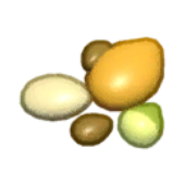 Seed
