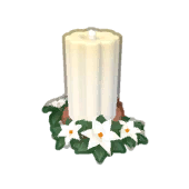 Tall Poinsettia Candle
