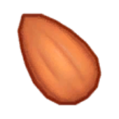 Toasted Almond