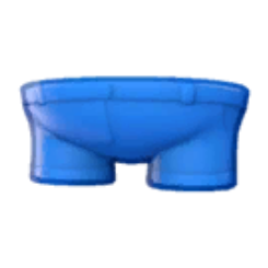 School Shorts Product Image