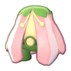 Blossom Outfit Product Image