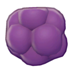 Grape Body Product Image