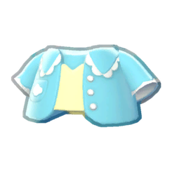 Skies Blazer Product Image