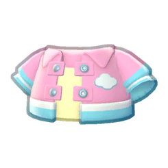 Skies Jacket Product Image