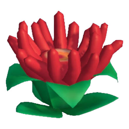 Anemone Product Image