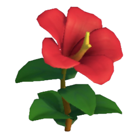 Hibiscus Product Image